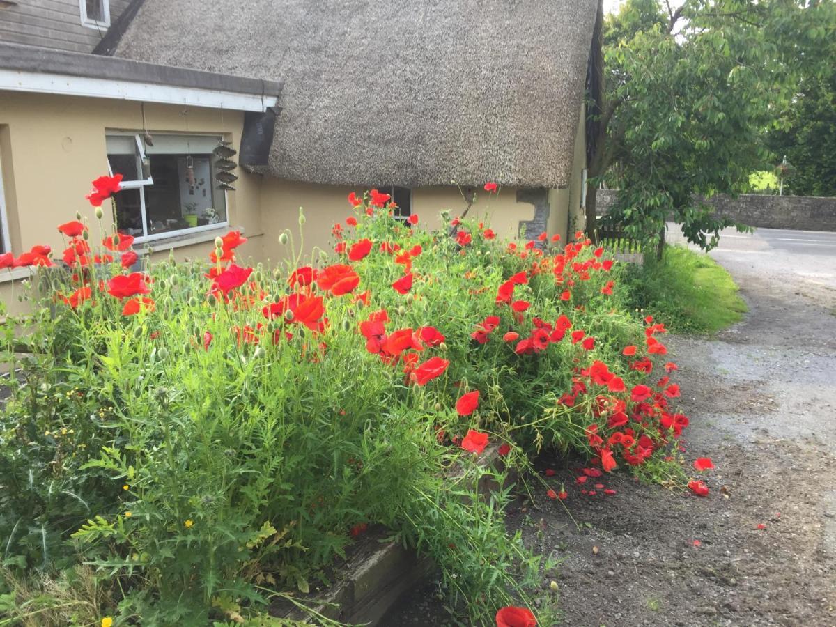 Bridge Cottage Killare Exterior photo